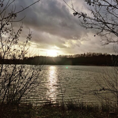 19/01/2024 Thorpark