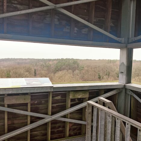 14/02/2024 Kattevennen naar Thorpark (en een beetje verder)