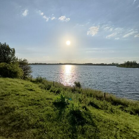 02/06/2024 Hengelhoef