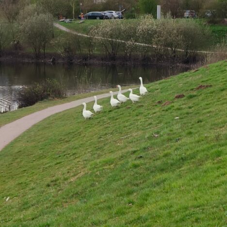 6/04/2025 Maastricht