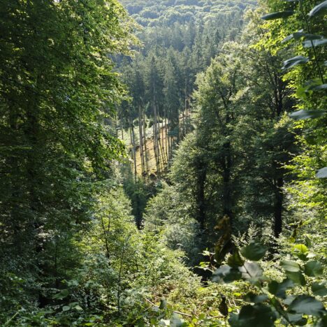 30/07/2025 Opglabbeek