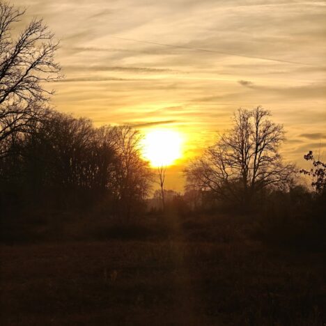 30/01/2026 De Wissen – Bree