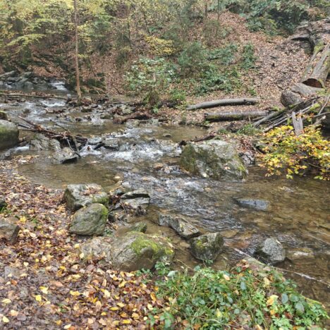 29/11/2025 kerstmarkt Keulen